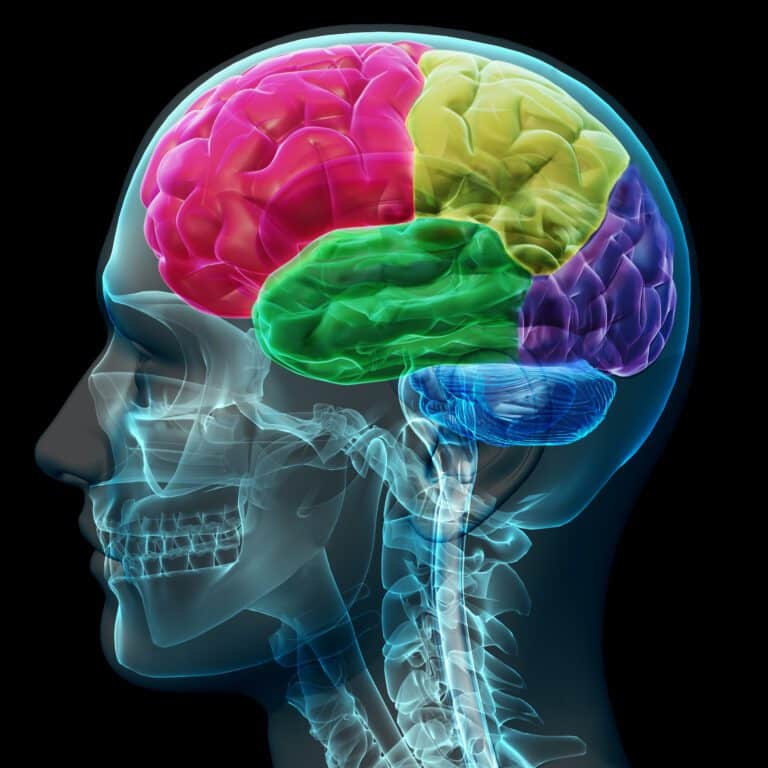 Brain Fit For Life With Neurofeedback | Innovative Health