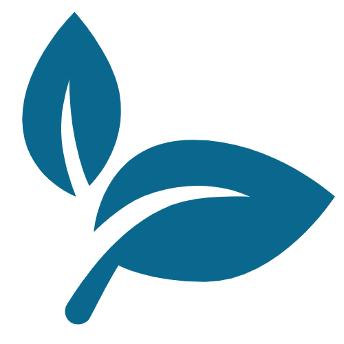 blueleaf blueleaf