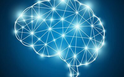 Brain Fitness with Neurofeedback