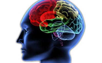 Functional Neurology