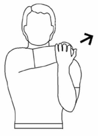 Midback Stretches