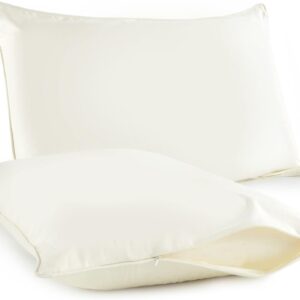 Whisper Organics Pillow Protector 20 x 30 Inches, Pack of 2 (Queen, Ivory)