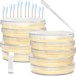 Evviva Sciences Microbiology Science Project Kit, Pre-Poured Agar Plates for Students