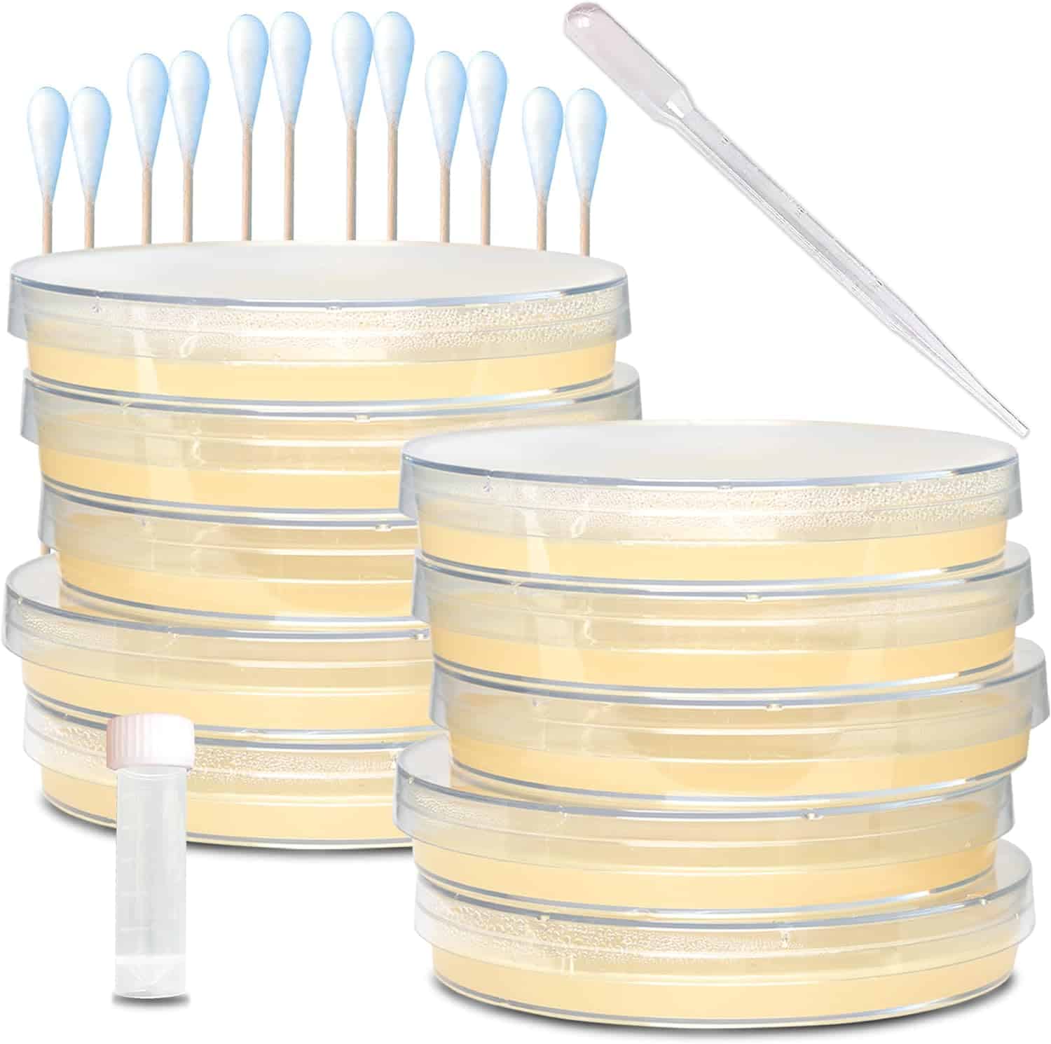 Evviva Sciences Microbiology Science Project Kit, Pre-Poured Agar Plates for Students