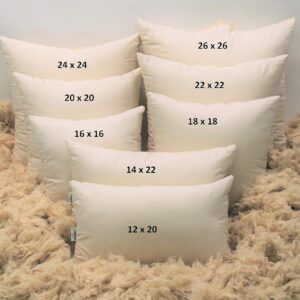 Bean Products 12" x 20" Euro Pillow - Organic Cotton - Kapok Fill