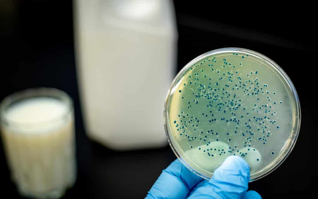 Supporting the Body Through Infection: Approaches Beyond Antibiotics