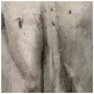 Home Mold Testing Dust Kits