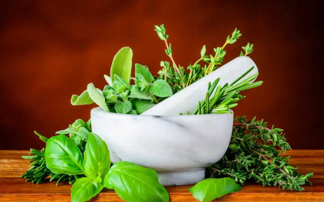 The Top 7 Herbs to Regulate Hormones: Reclaim Your Body’s Balance