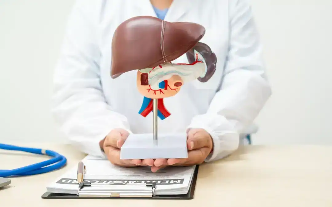 Supporting Liver Health: Your Body’s Master Detoxifier