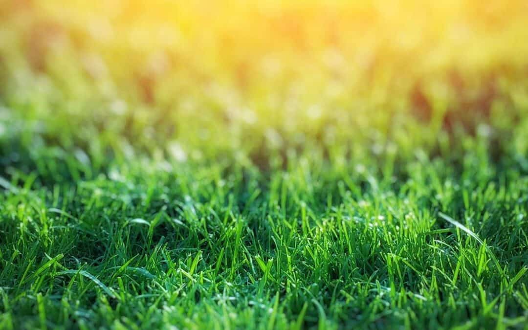 Grounding: How Earth Connection Affects Human Health