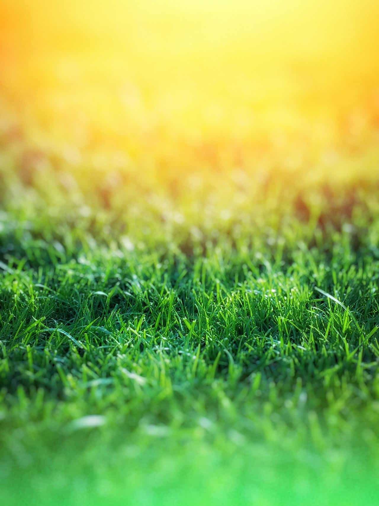 Grounding: How Earth Connection Affects Human Health