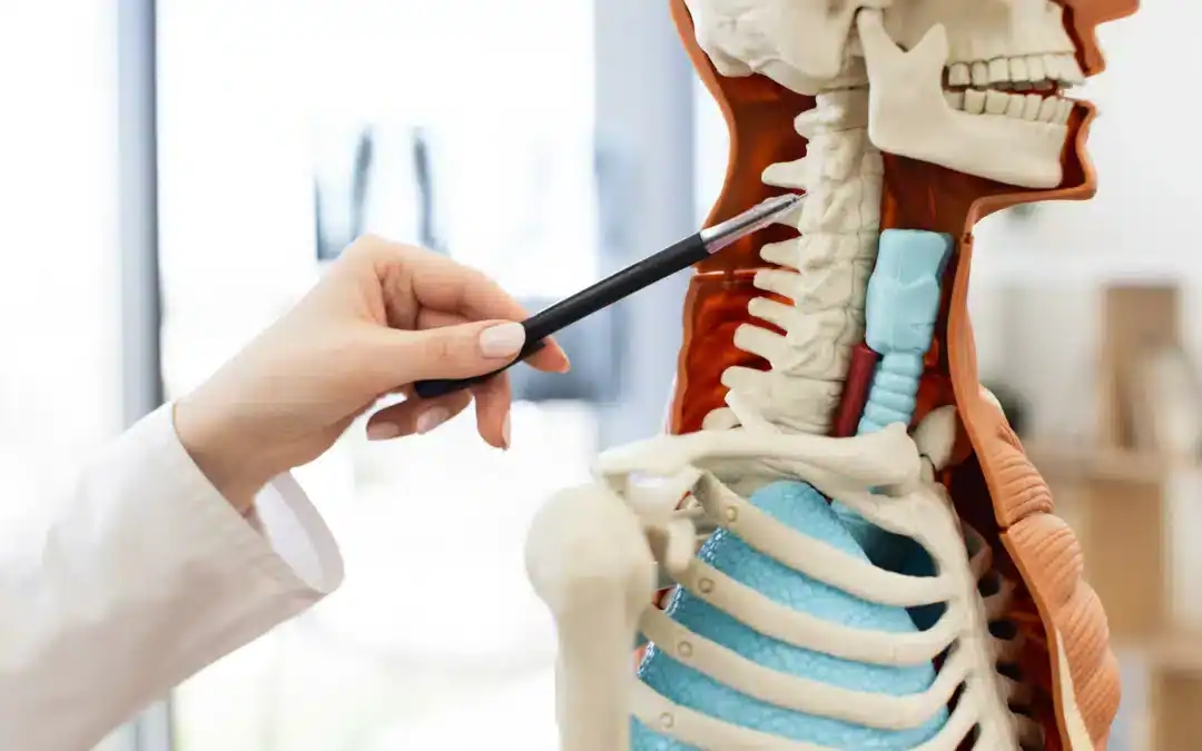 Upper Cervical Pain: Understanding This Unique Region’s Special Needs