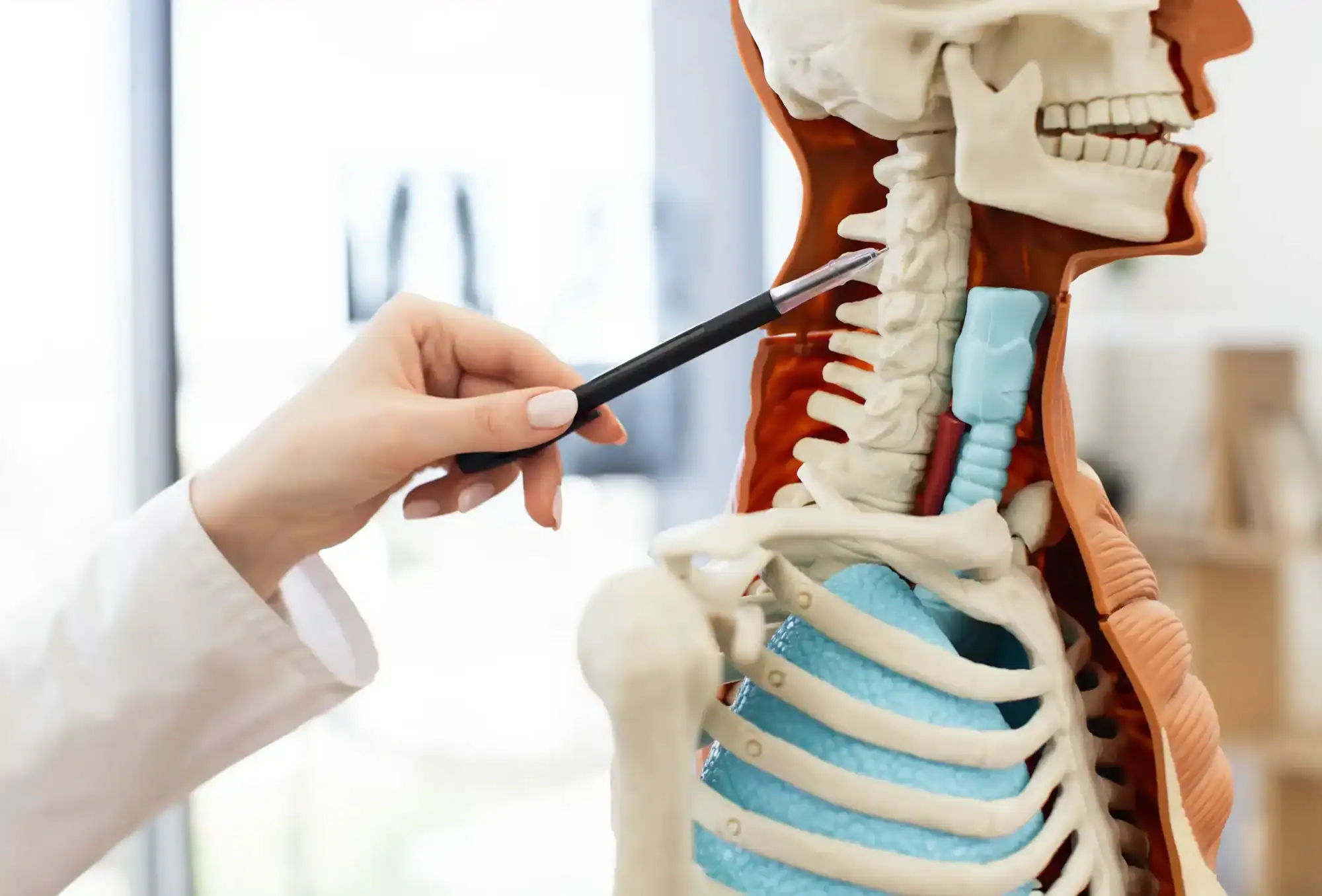 Upper Cervical Pain: Understanding This Unique Region’s Special Needs