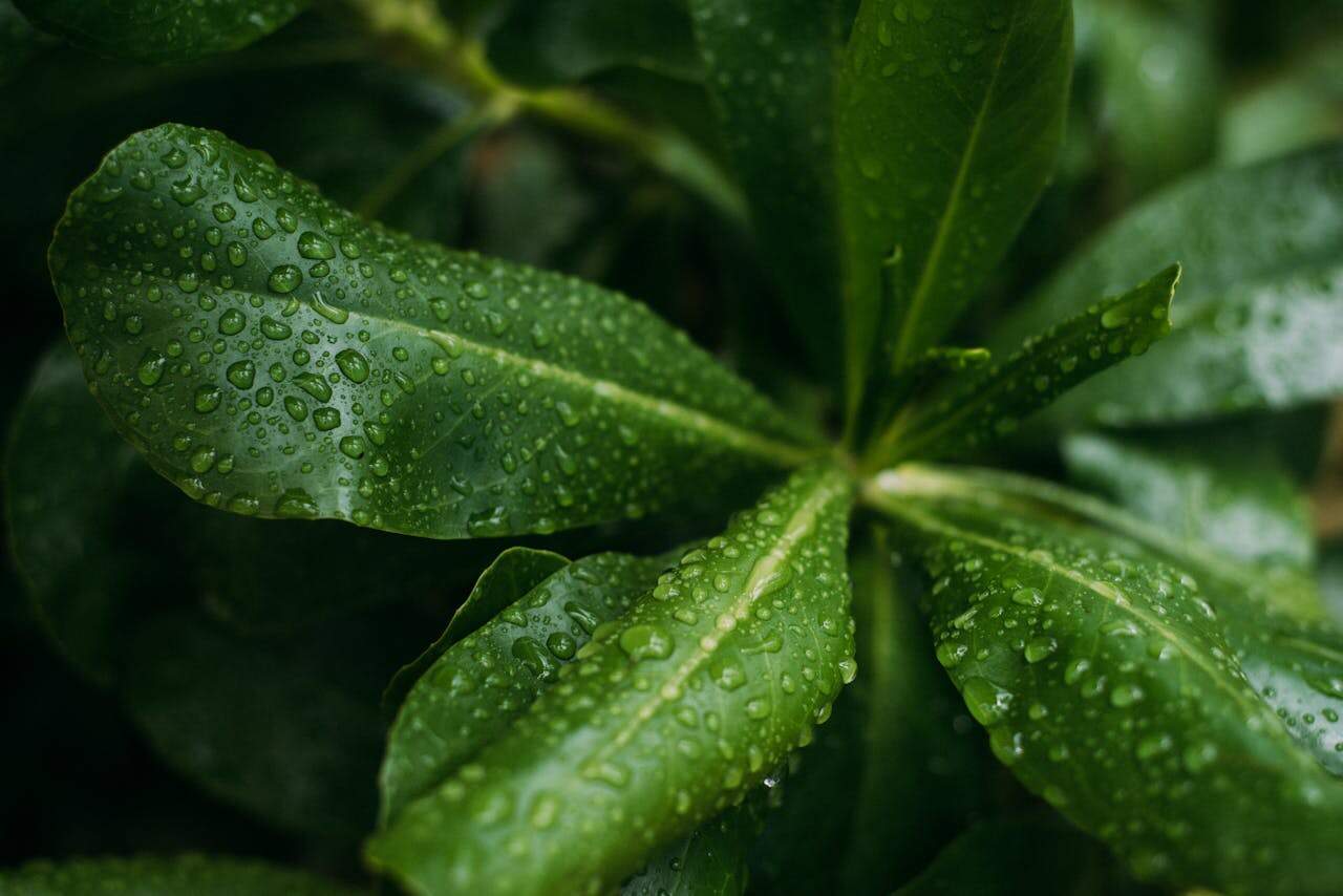 Advanced Hydration Therapies: The Science of Healing Waters