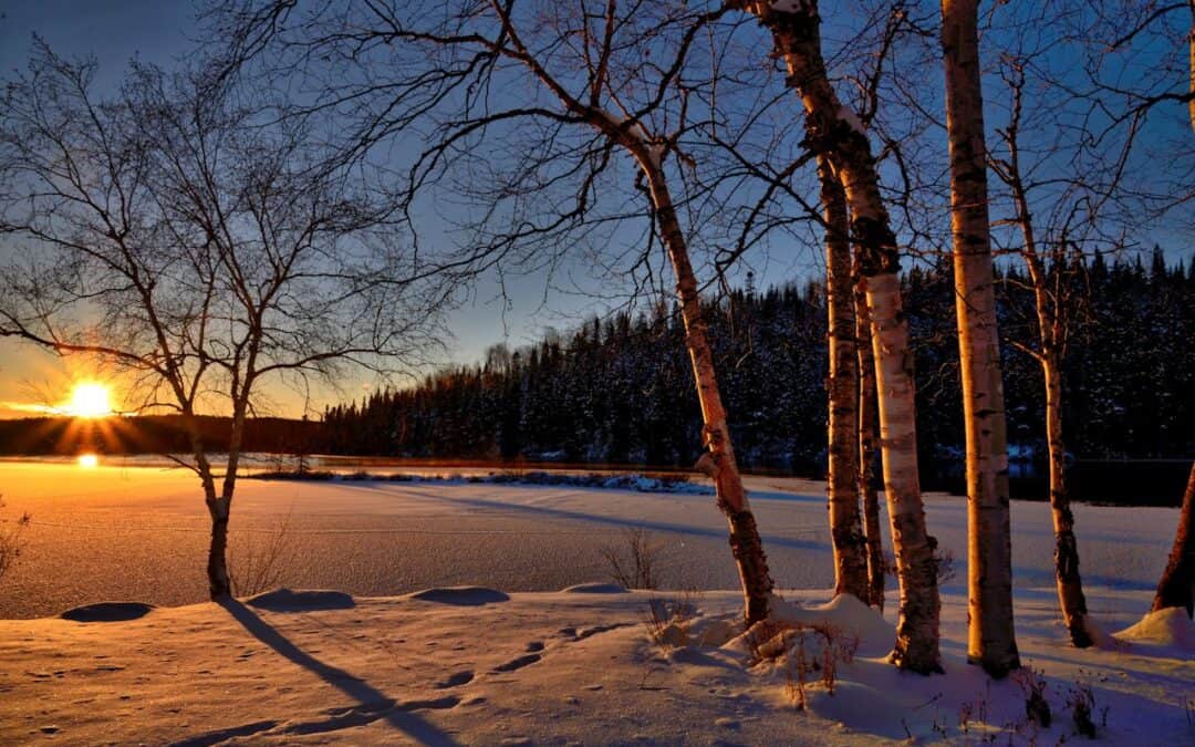 Navigating the Winter Solstice: Maintaining Circadian Rhythm Through Dark Winter Months