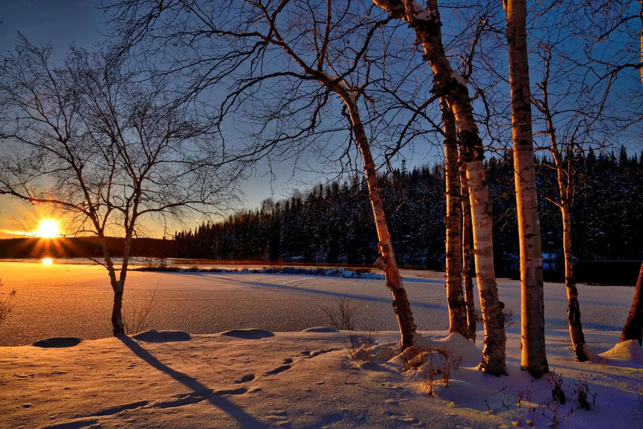 Navigating the Winter Solstice: Maintaining Circadian Rhythm Through Dark Winter Months